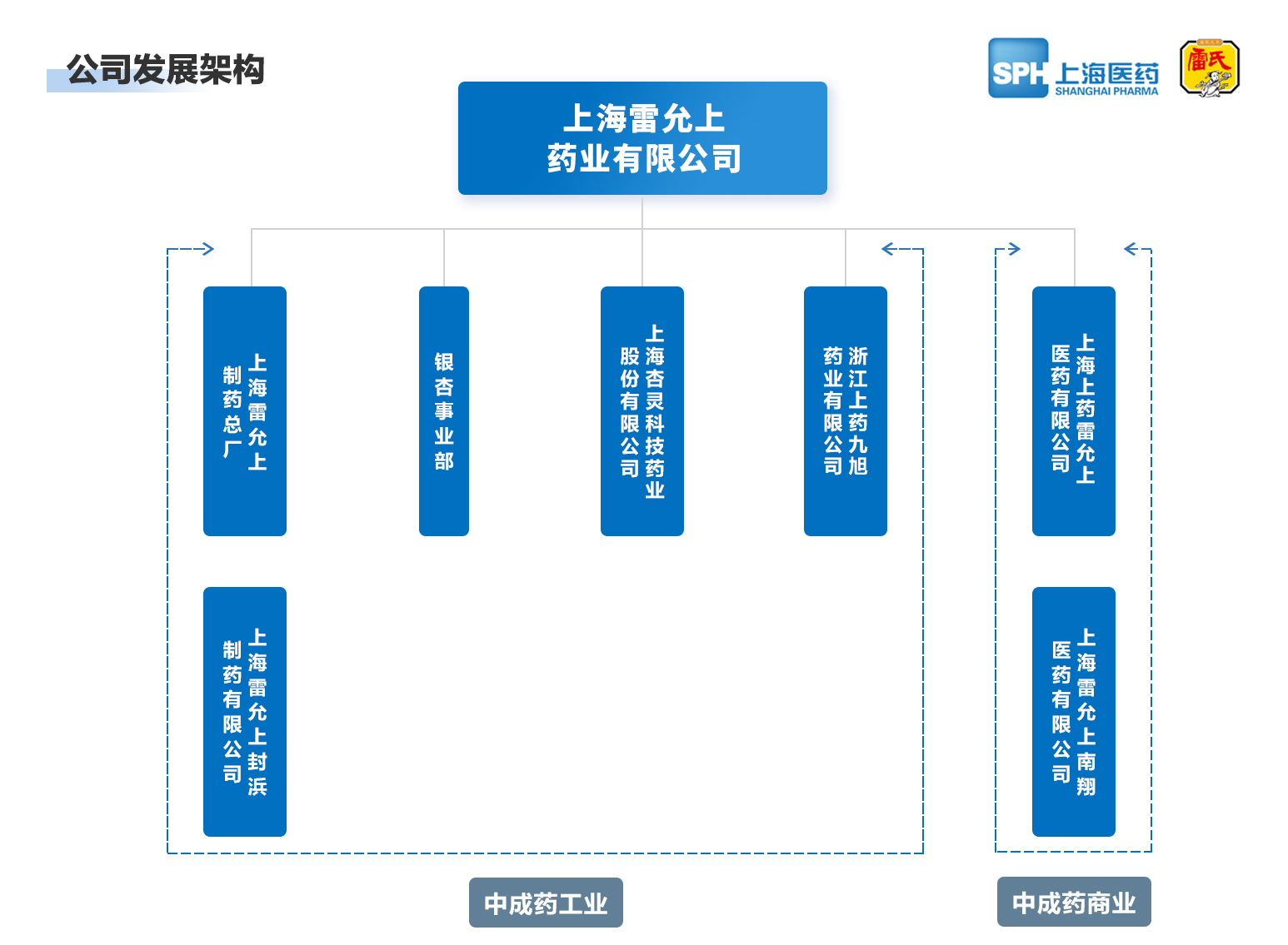 上海杏彩体育药业有限公司
